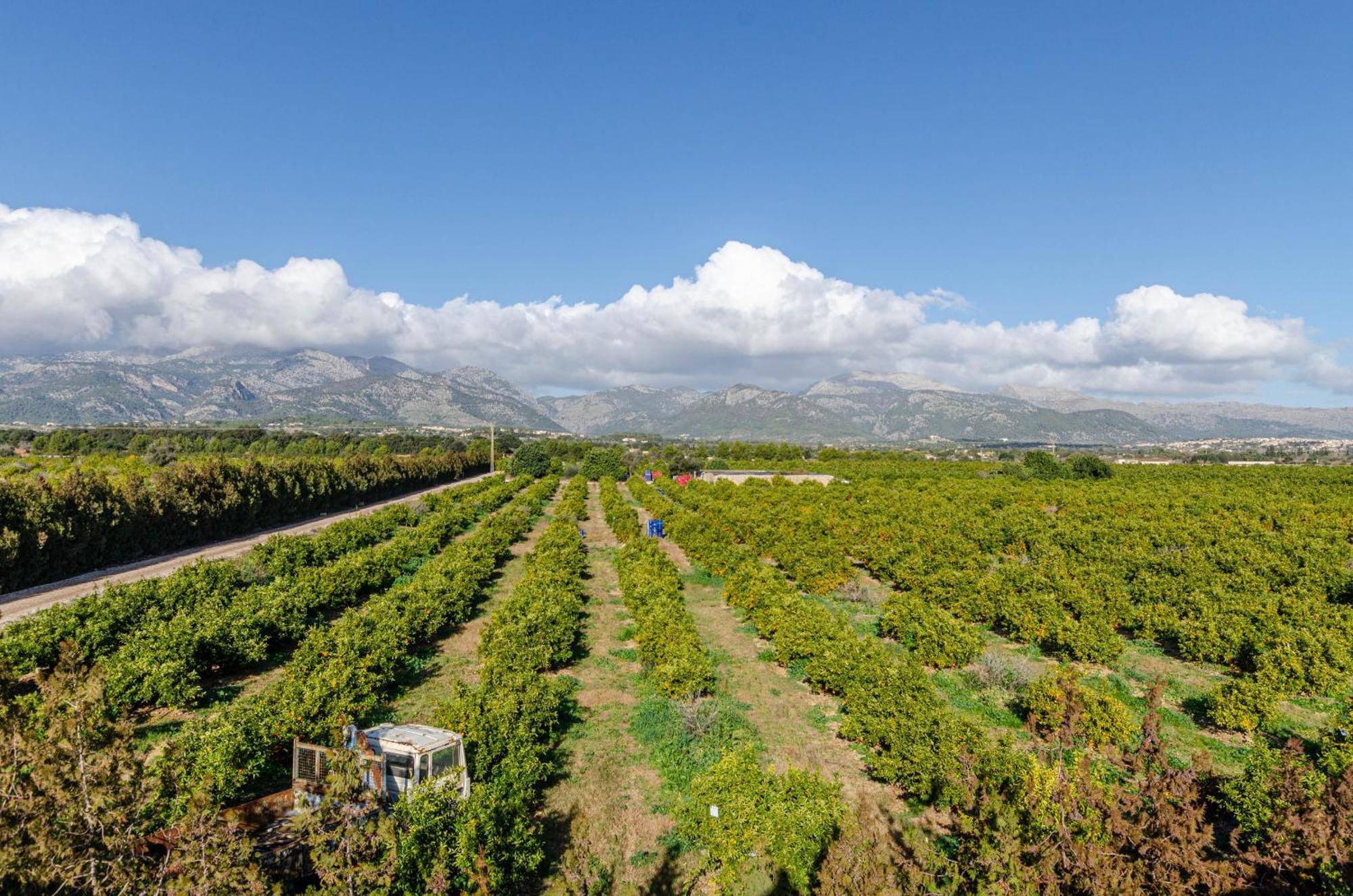 Lejlighed Agroturismo El Limonar 1, Yourhouse